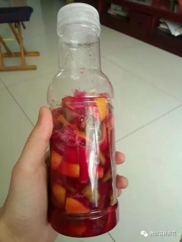 绿萝洗干净就可以水养了么,绿萝吊兰长势慢