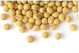 丰收节献五谷,丰收节五谷不分技巧