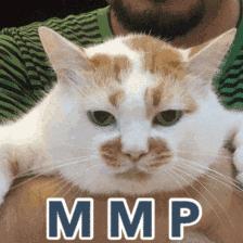 “男男”成考试素材网友：不怕法考难，只怕“男上加男”