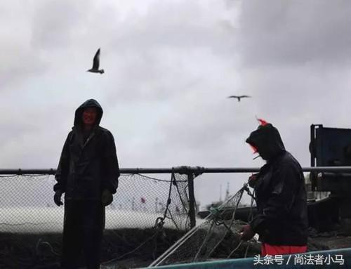 太平洋大逃杀亲历者电影,太平洋大逃杀亲历者自述李海鹏