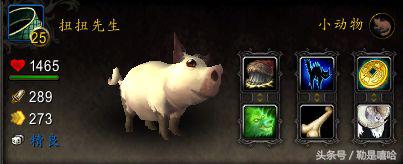 魔兽世界各种稀有宠物排名,魔兽世界稀有宠物排行榜