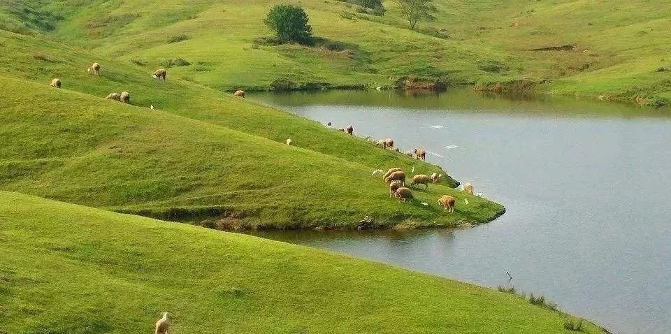 滁州必去旅游景点推荐,滁州旅游线路推荐