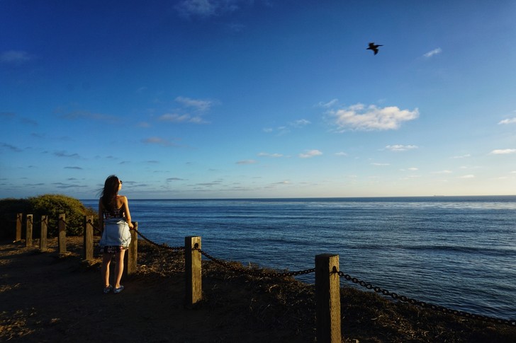 美国纽约自驾游最佳路线图,美国西部大环线自驾游攻略