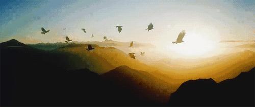 潮流时尚男士小白鞋,时尚男士潮流小白鞋