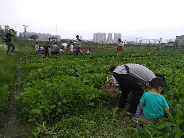 农秀才：农业农村部推荐100个休闲农业和乡村旅游精品景点线路