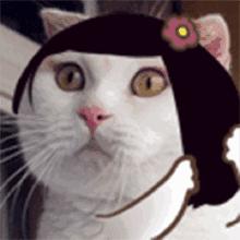 脱发尤其在换季的时候,夏末秋初脱发严重怎么回事