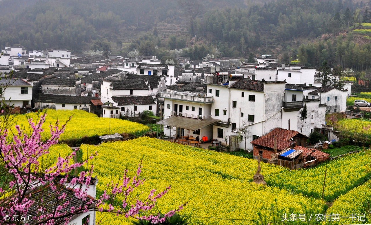 强拆农民违建房屋需要什么程序,村委会有权利强拆村民房屋吗