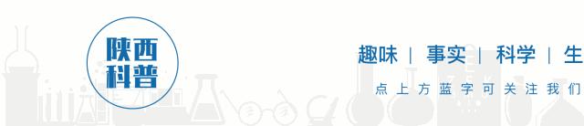 科学趣多多|“秋老虎”来算账，小心车内开空调“中毒”！！！