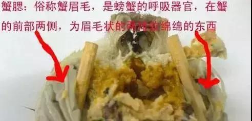 吃螃蟹休克好抢救过来就没事了吧,20岁小伙吃螃蟹中毒
