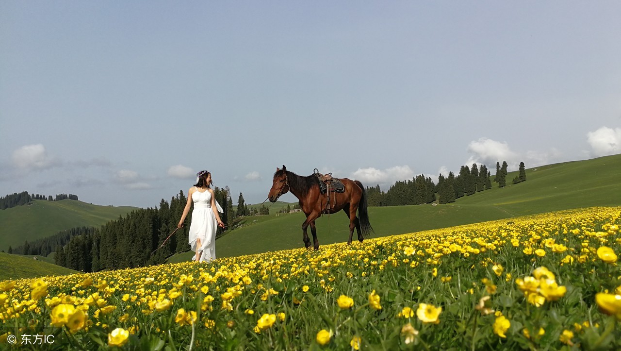 写作文最容易跑题的陷阱,为什么孩子写作文总是跑题