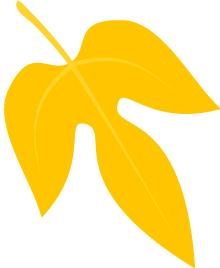 产科优秀护理集体,妇产科优秀护理团队