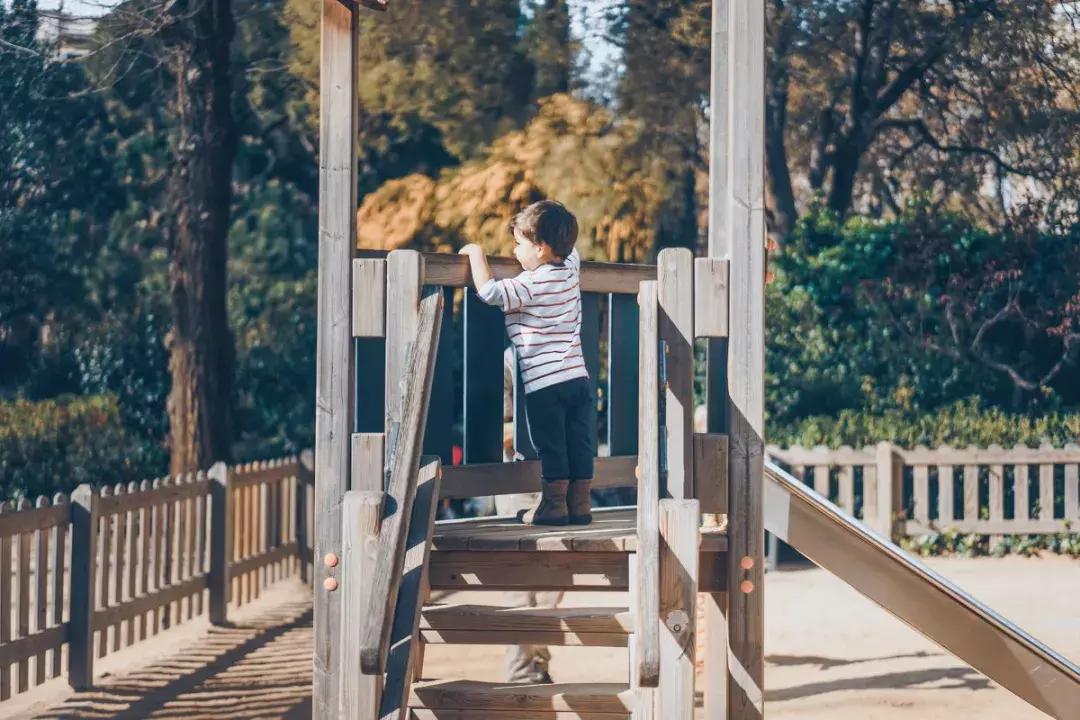 旅行必备的十大拍照好物,旅游最实用的拍照器材
