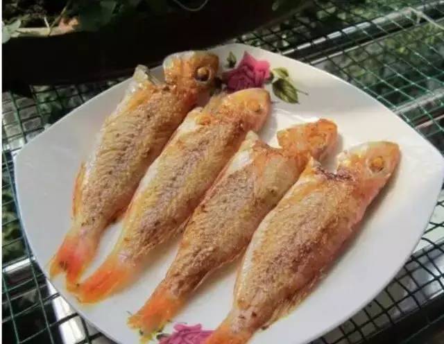 广西防城港一日游旅游攻略,防城港旅游景点必打卡的地方