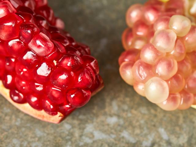 正宗品种嫁接突尼斯软籽石榴,精品高杆突尼斯软籽石榴