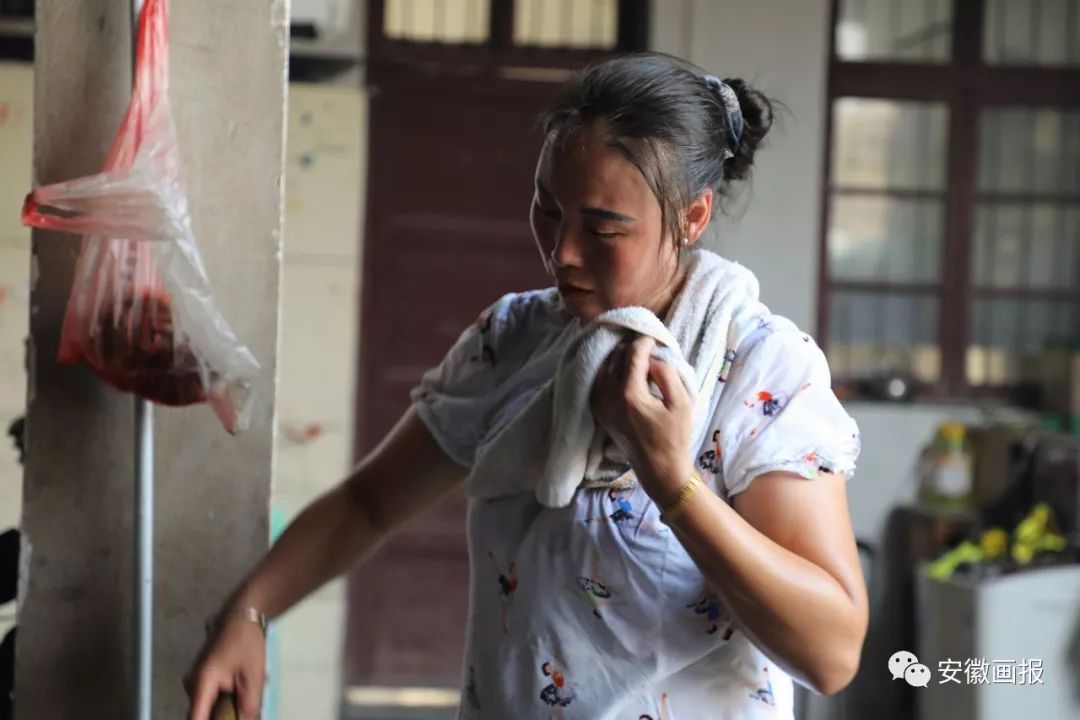 收看此心安处是吾乡专题片简报,观看此心安处是吾乡专题片