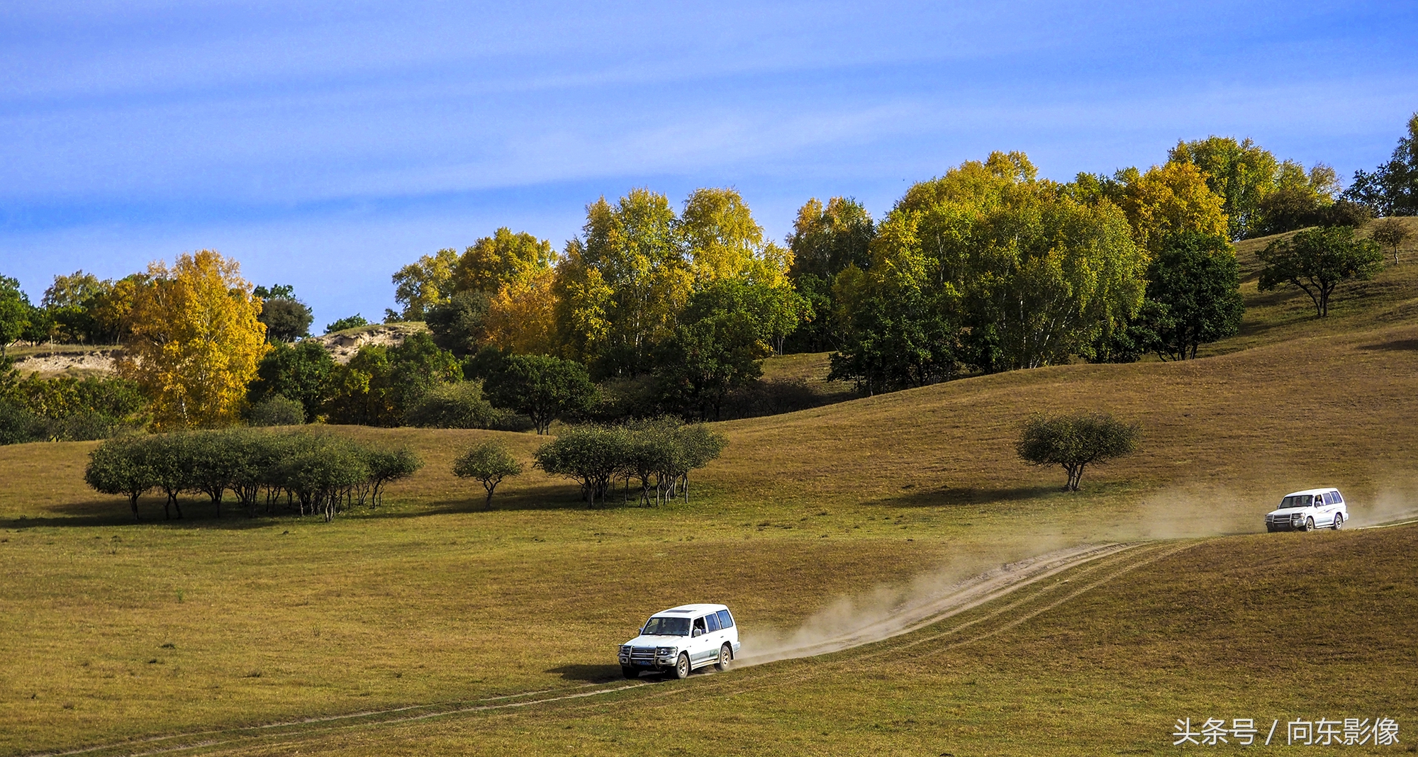 奥林巴斯配什么镜头,奥林巴斯配曲