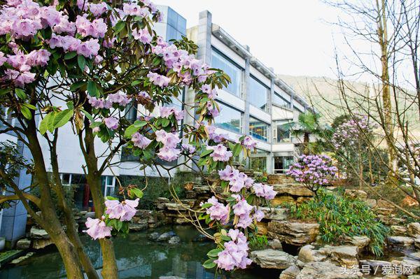 四川凉山州冕宁县漫水湾温泉,四川天然温泉哪里比较正宗