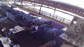 生活究竟有多么残酷,如果你觉得生活很苦不妨看一看