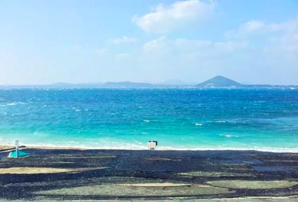 济州岛一年往返12次,到济州岛旅行行程