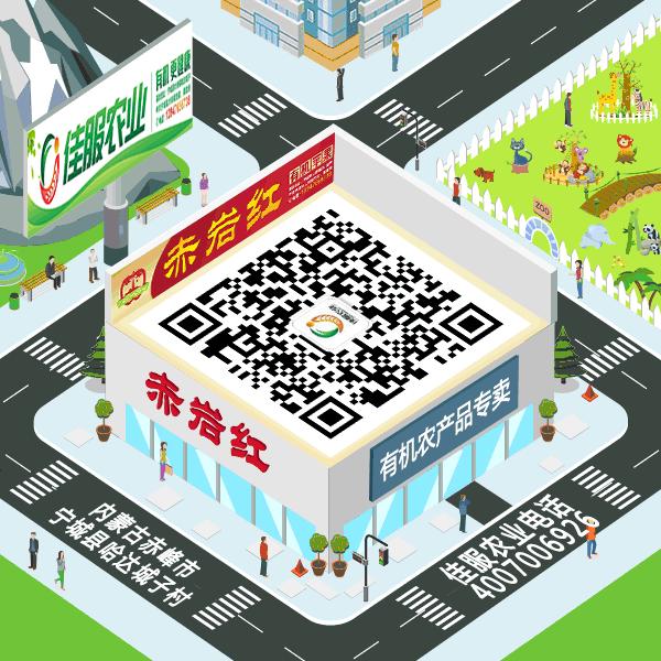 互联网农业创业项目总结,互联网农业发展的趋势