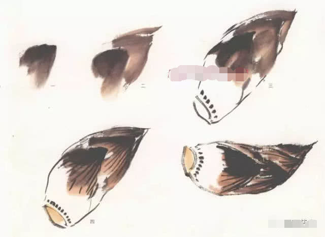 蔬菜水果画法,水果简单画法入门图文