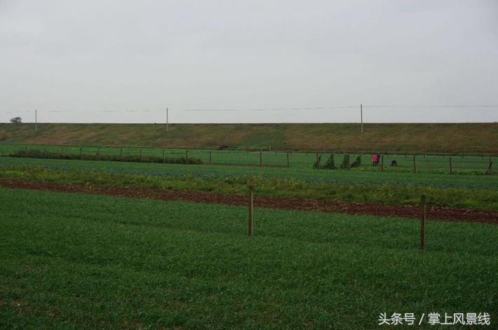 关公父子是怎么遇害的,关公败走麦城如何被杀