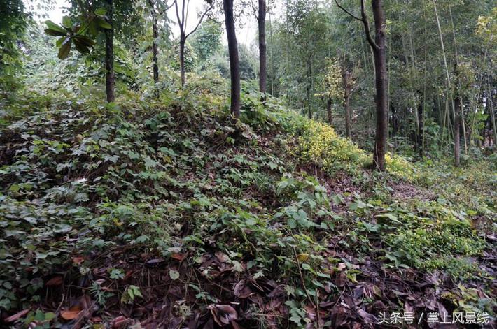 关公父子是怎么遇害的,关公败走麦城如何被杀