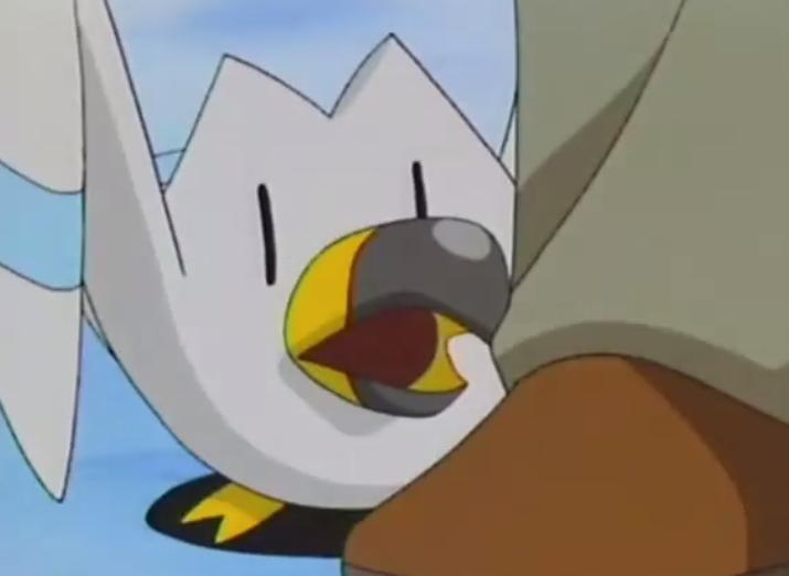 精灵宝可梦所有飞行系宝可梦,精灵宝可梦图鉴808