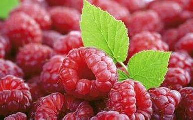 女性私护洗液薄荷味,女性专用私护慕斯洗液