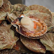 广州旅游景点排行榜前十名有哪些,广州旅游攻略必去十大景点沙面岛