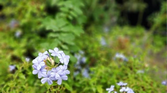 三星note9照相故障,三星note9的照相镜头最边上是什么