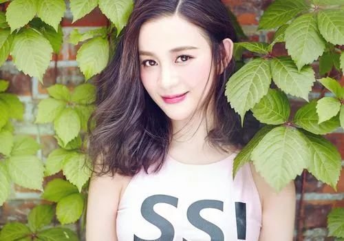 吴秀波婚外情事件,吴秀波婚外情