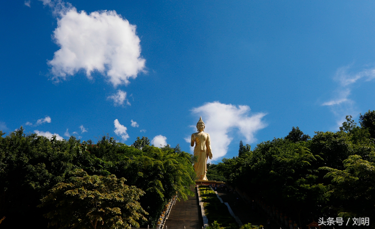 蚂蚁旅游专线云南之旅,蚂蚁旅游行