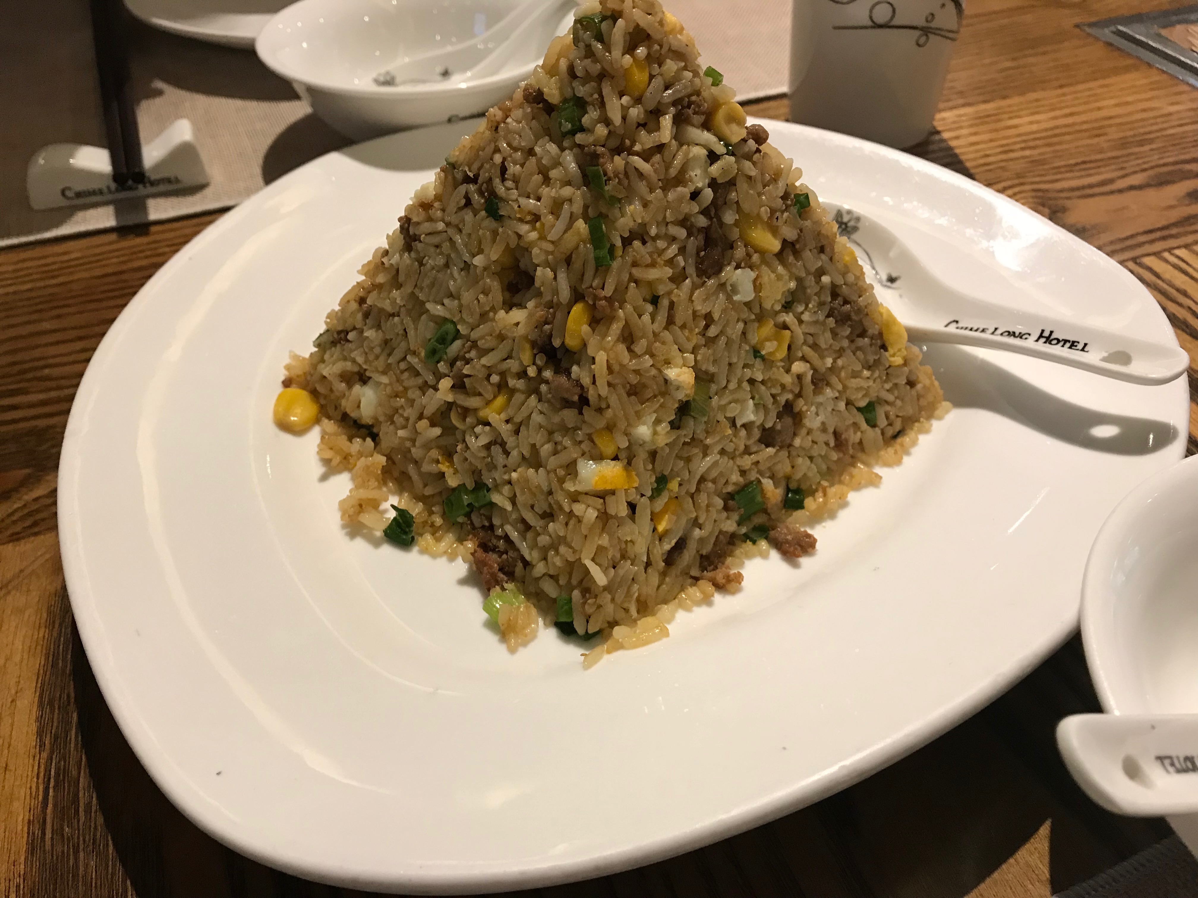 广州长隆野生动物园含酒店攻略,广州长隆野生动物园酒店进园攻略