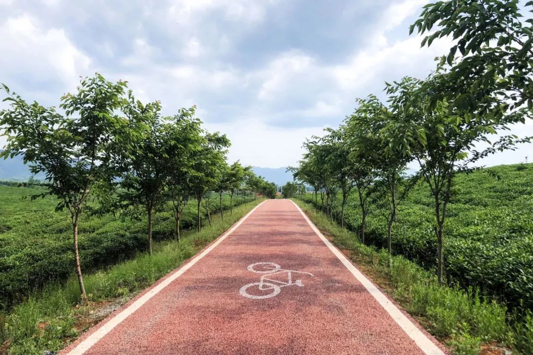 茶文化主题公园在哪,2021哈尔滨文化公园开园