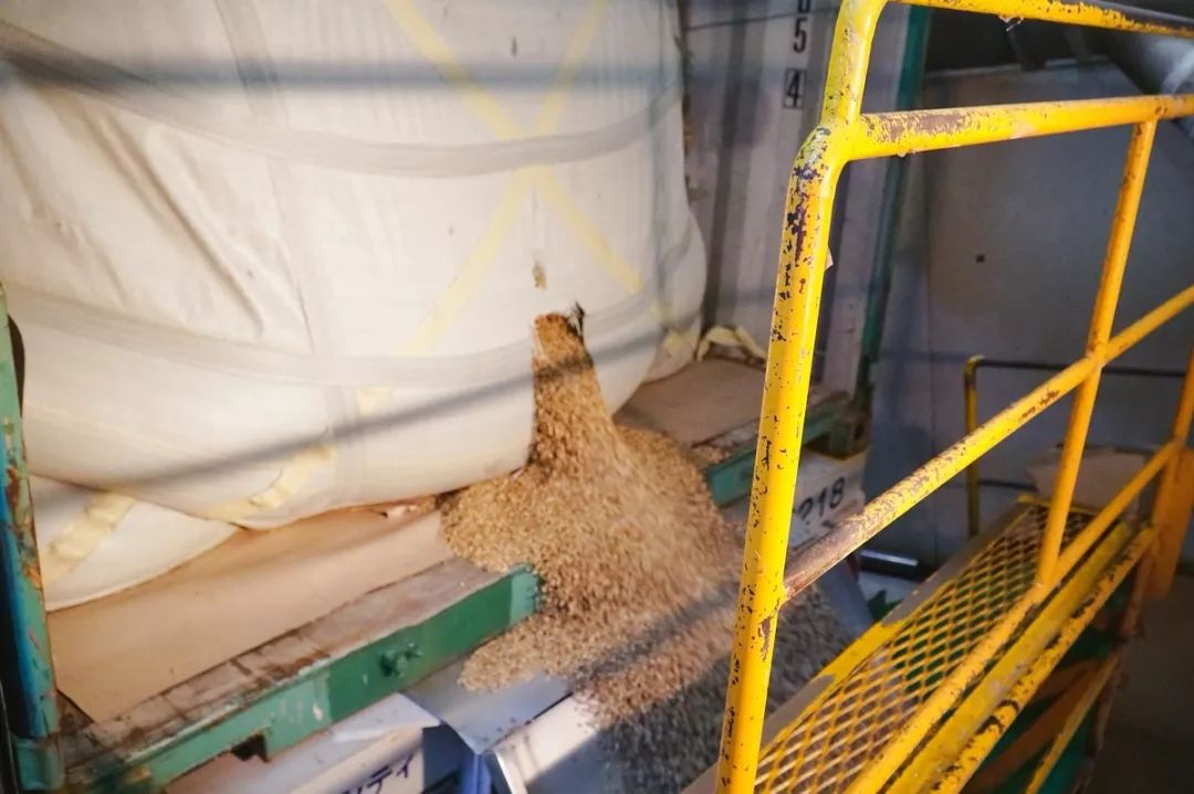 你看起来真好吃歌谱,你看起来真好吃日语