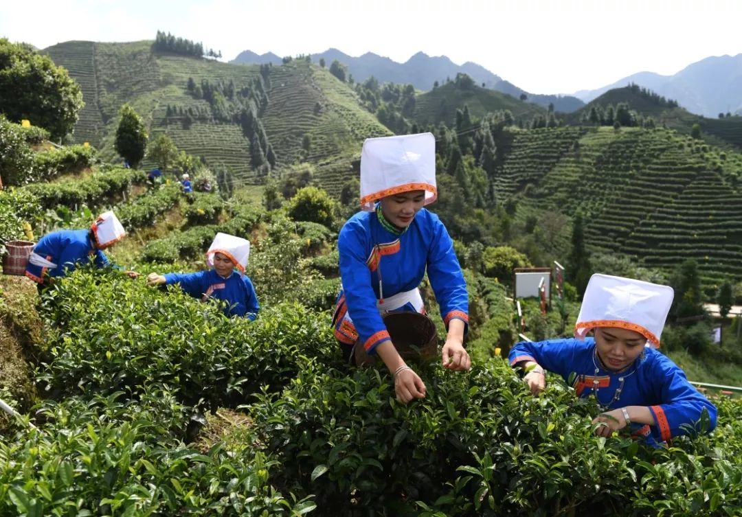 划重点｜鼓励农业科研人员到企业兼职兼薪“名利双收”