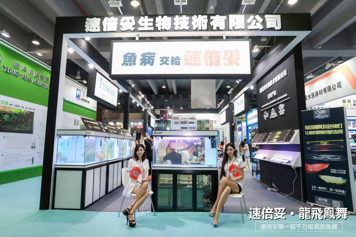 十大顶级巨型观赏鱼视频播放,顶级观赏鱼高清全屏视频