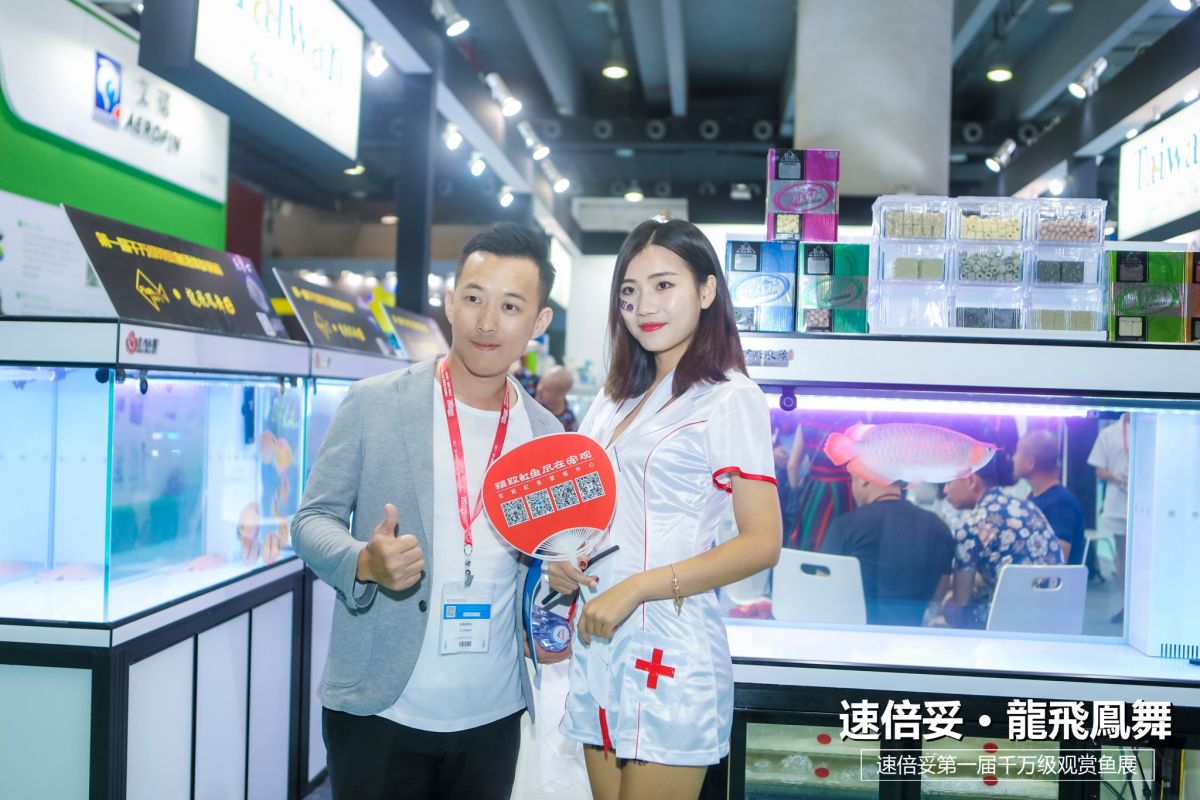 十大顶级巨型观赏鱼视频播放,顶级观赏鱼高清全屏视频