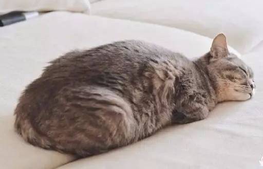 生孩子治痛经真的假的,生孩子真的可以治痛经么