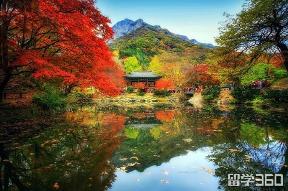 2020年去韩国留学带什么东西,2023年韩国留学准备物品清单