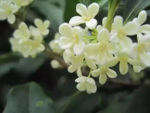 南昌纯玩一日游必去景点攻略图,南昌游玩景点推荐一日游攻略