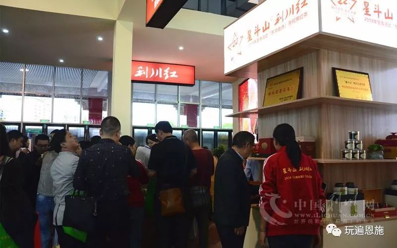 2016年利川硒博会,硒博会开幕