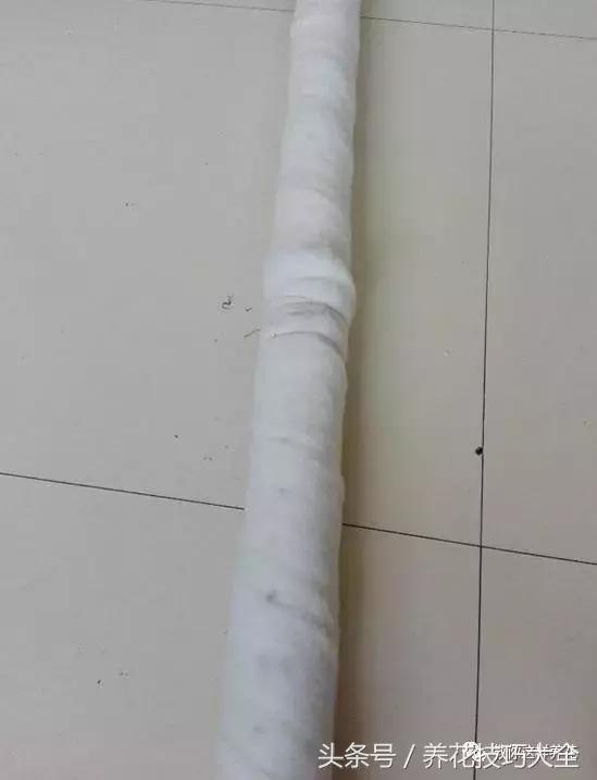 养殖绿萝用这3种办法快速长爆盆,养绿萝学好这3招爆盆快长势猛