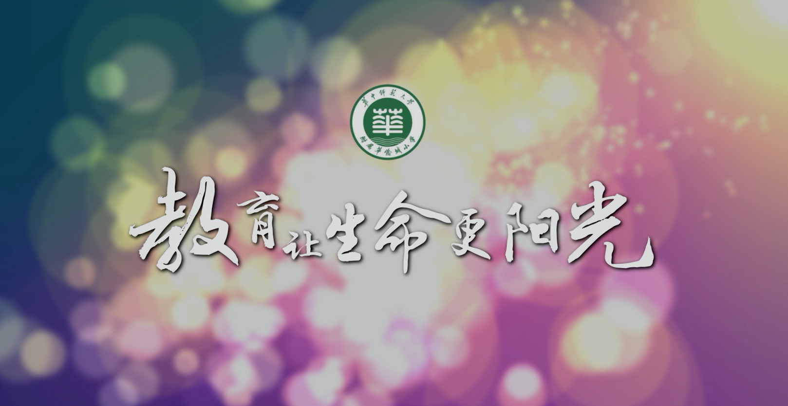 武汉东湖华侨城小学怎么样,你所不知道的武汉各小学