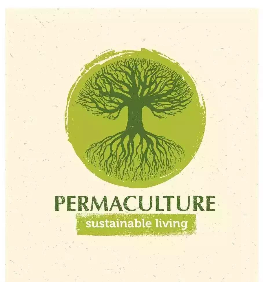 新雨自然学校·第一期Day1：快来建造属于自己的生态花园吧！