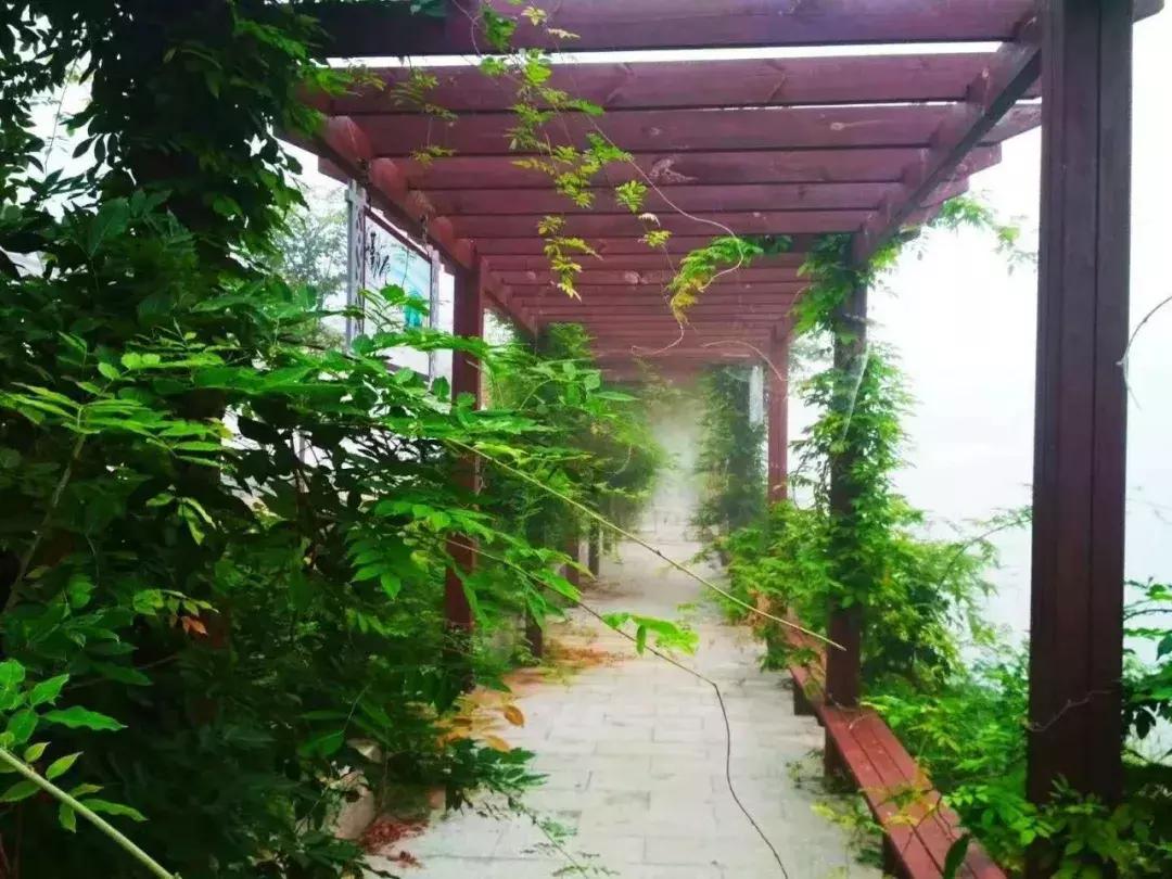 小楼点评｜延青敲核记（二）