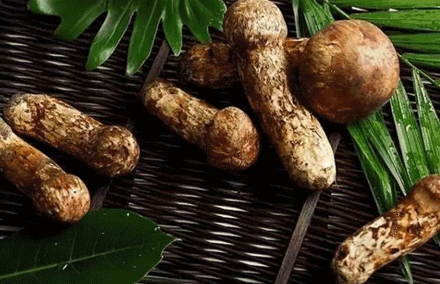 周润发福州街头,独家采访周润发