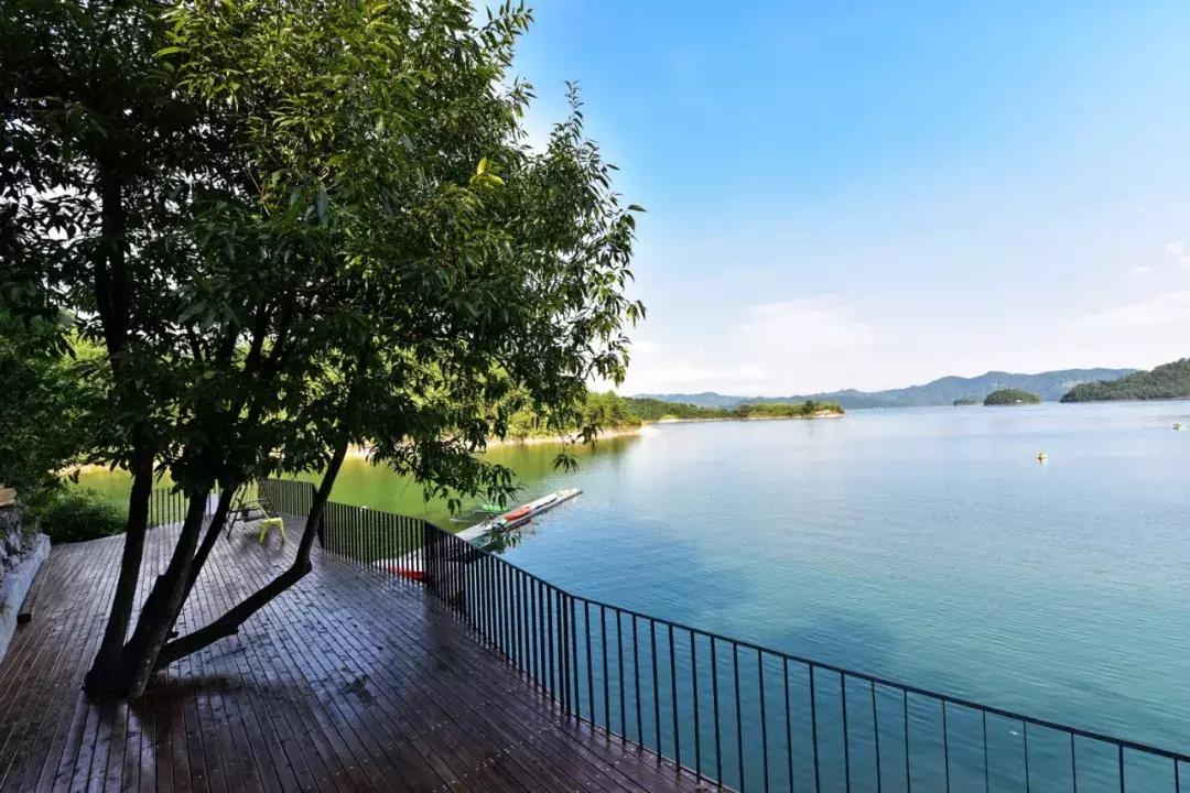 人均350+，住千岛湖最美民宿，吃大鱼头，还有私人小岛定制美拍！