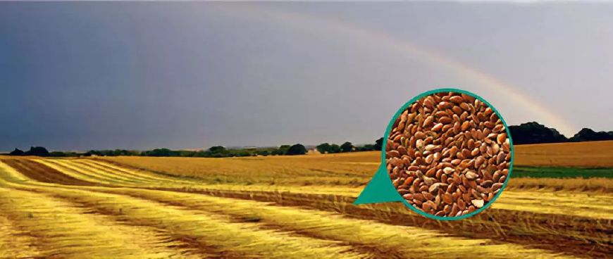 看不见的肥胖更要命！脂肪长在这里最危险，简单一招，快速瘦！